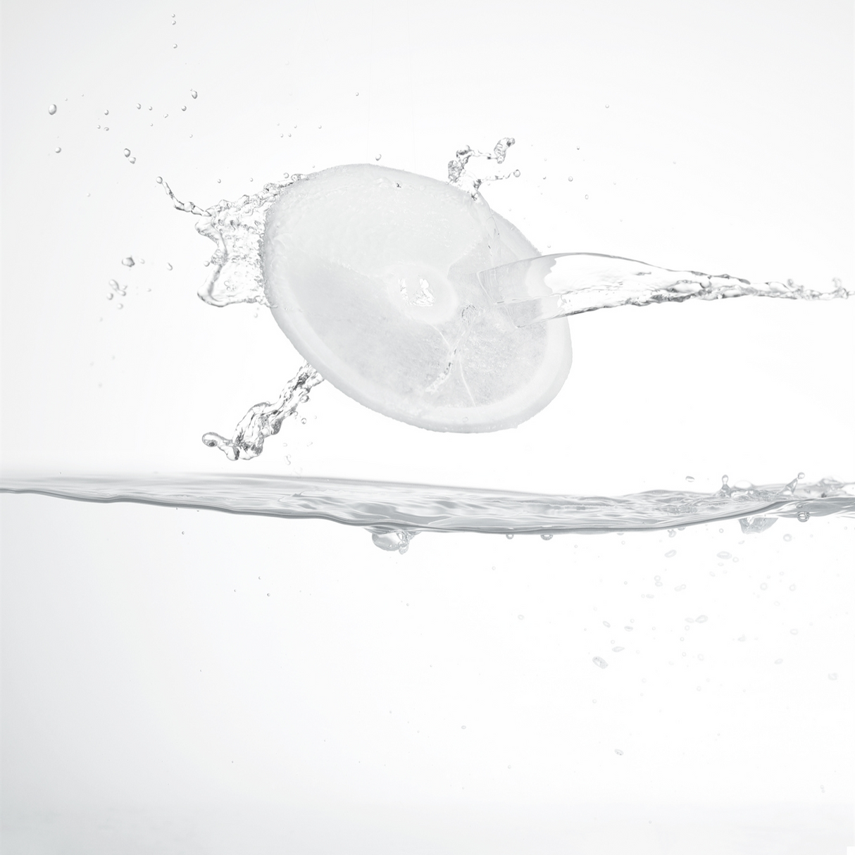 PETKIT Eversweet 3.0 Wasserfilter Ersatzfilter 5 Stück Trinkbrunnen