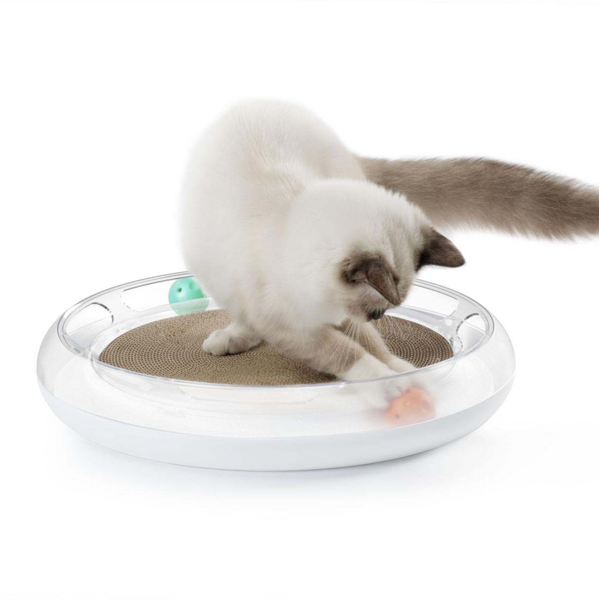 PETKIT 4 in 1 Kratzspielzeug Katze Kratzbrett Spielschiene Katzenminze