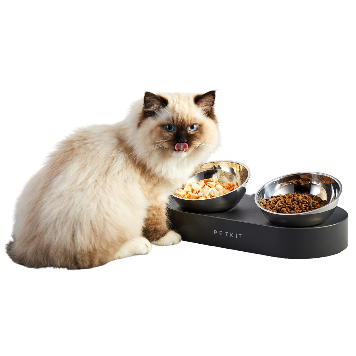 PETKIT Katzennapf Nano Metall erhöht Edelstahl 15 Grad geneigt rutschfest