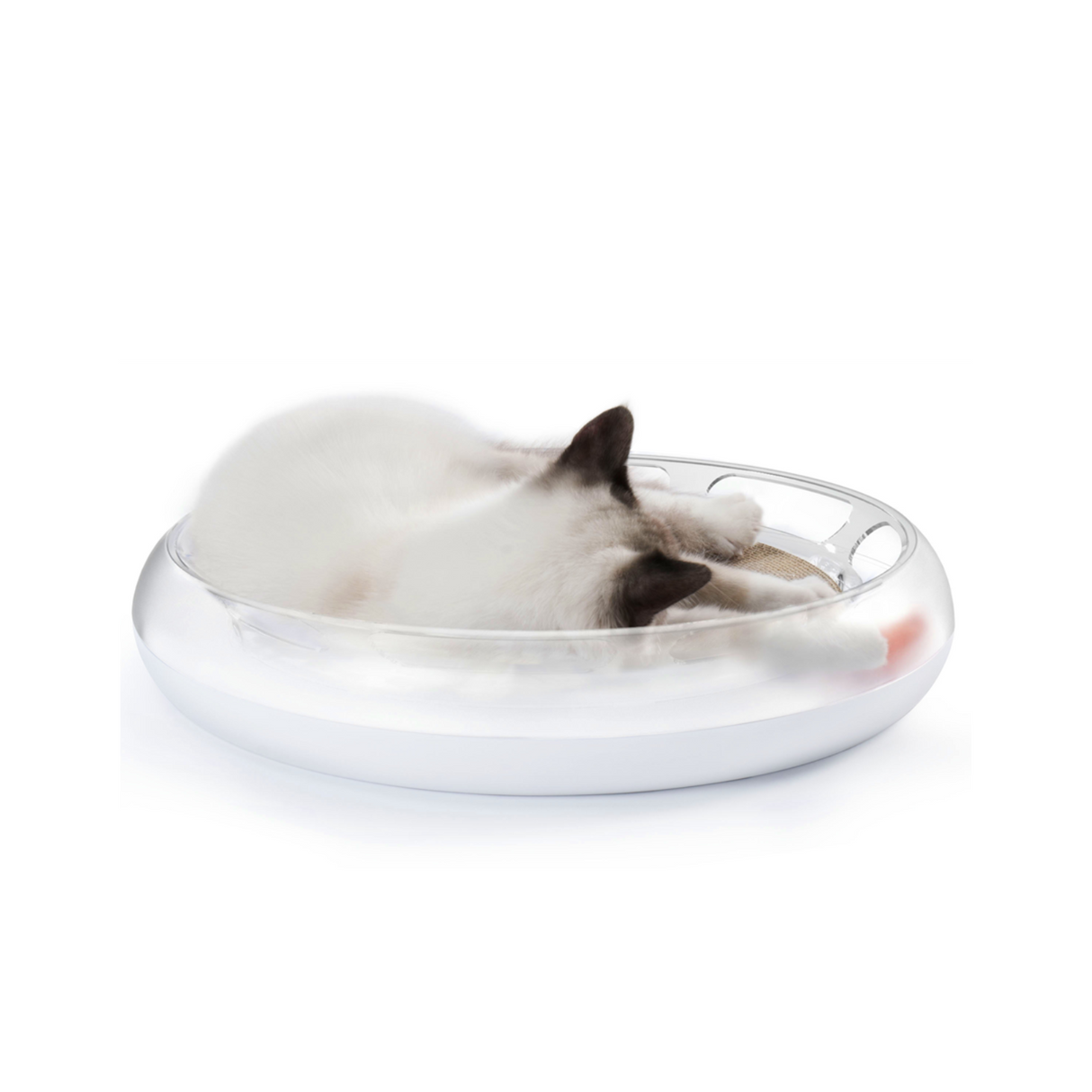 PETKIT 4 in 1 Kratzspielzeug Katze Kratzbrett Spielschiene Katzenminze