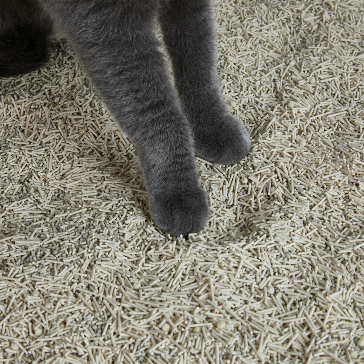 PETKIT Katzenstreu Occult Bluttest Tofu klumpend Indikator 4 Beutel