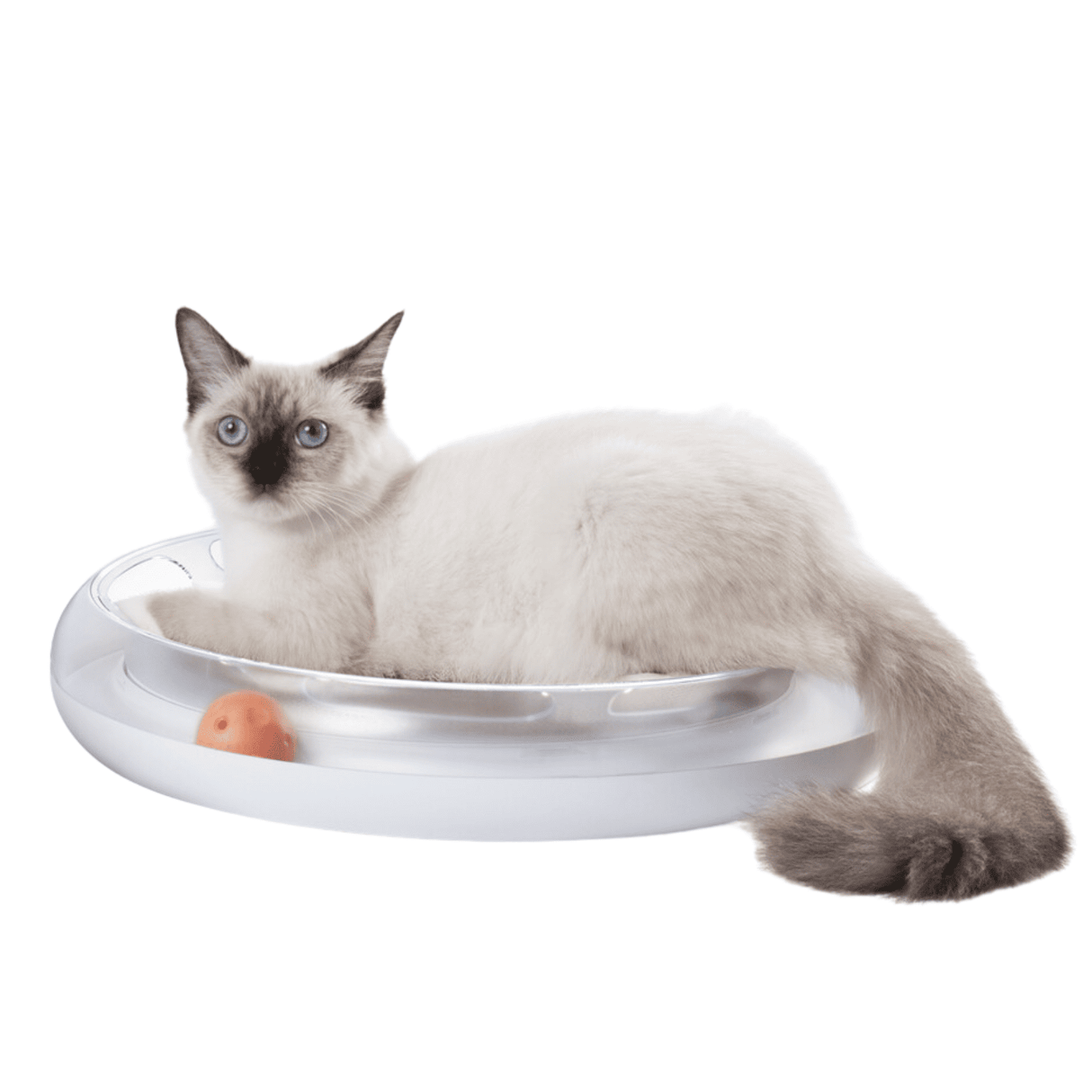 PETKIT 4 in 1 Kratzspielzeug Katze Kratzbrett Spielschiene Katzenminze