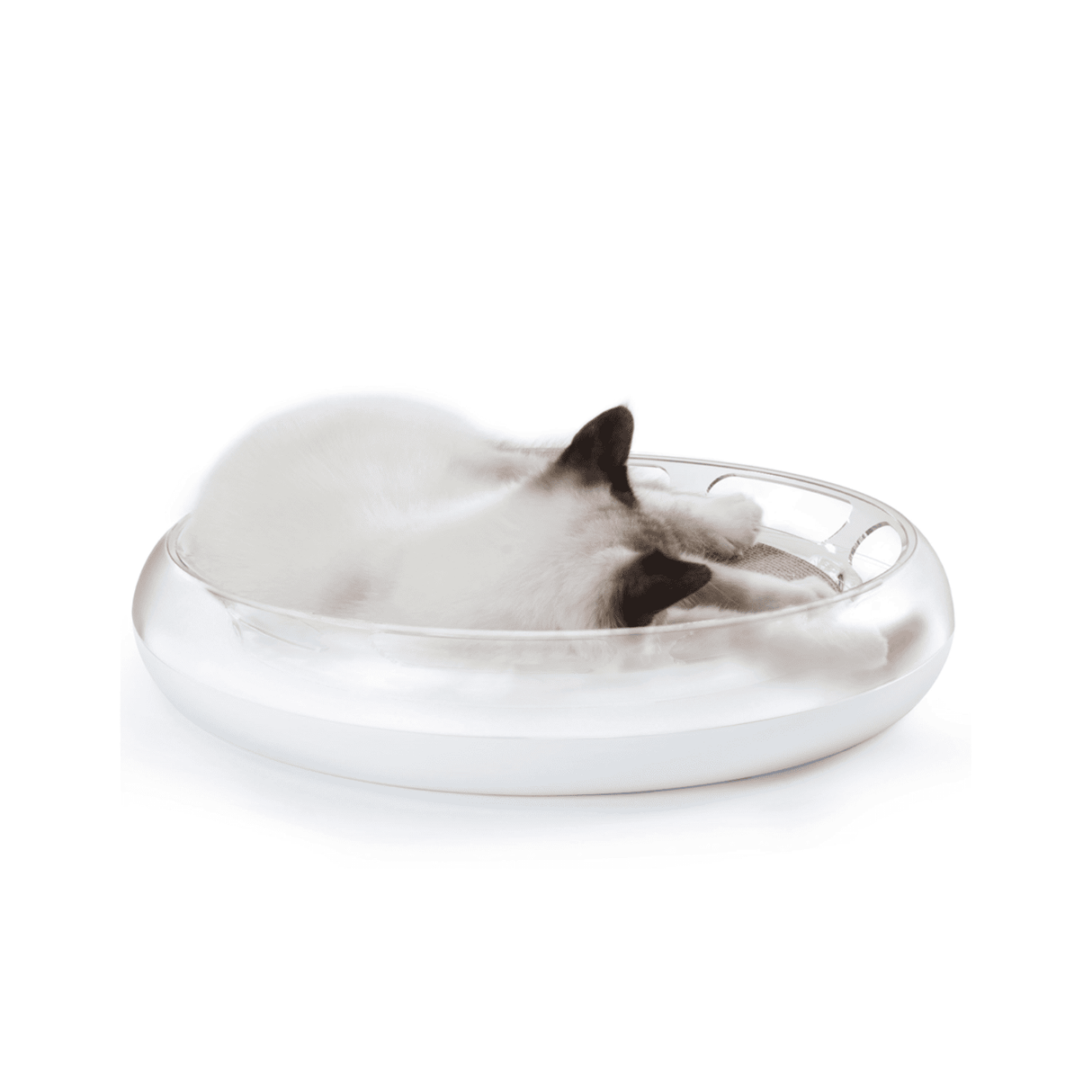 PETKIT 4 in 1 Kratzspielzeug Katze Kratzbrett Spielschiene Katzenminze