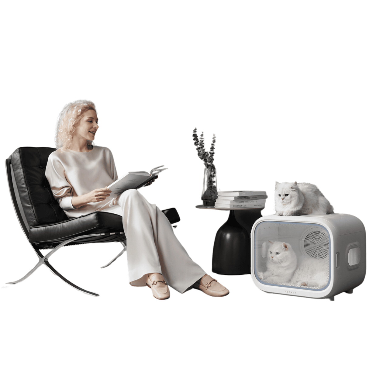 PETKIT AirSalon Max Hundetrockner Box 360 Grad leise Ionisierung App