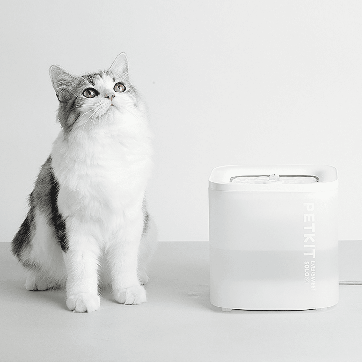 PETKIT Eversweet Solo SE Katzenbrunnen leise, Trinkbrunnen weiß