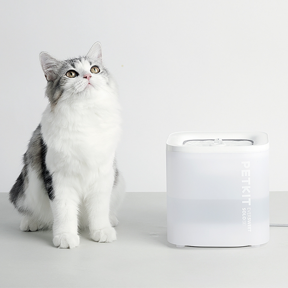PETKIT Eversweet Solo SE Katzenbrunnen leise, Trinkbrunnen weiß