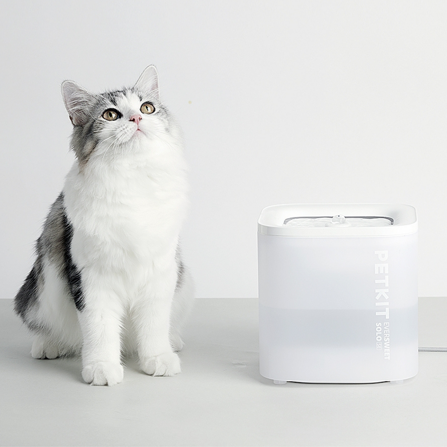 Petkit Trinkbrunnen Eversweet Solo SE - Weiß