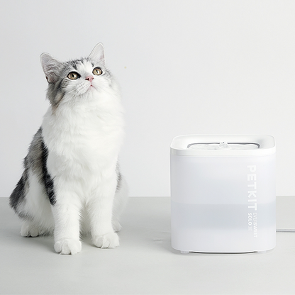 Petkit Trinkbrunnen Eversweet Solo SE - Weiß