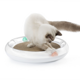 PETKIT 4 in 1 Kratzspielzeug Katze Kratzbrett Spielschiene Katzenminze
