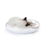PETKIT 4 in 1 Kratzspielzeug Katze Kratzbrett Spielschiene Katzenminze