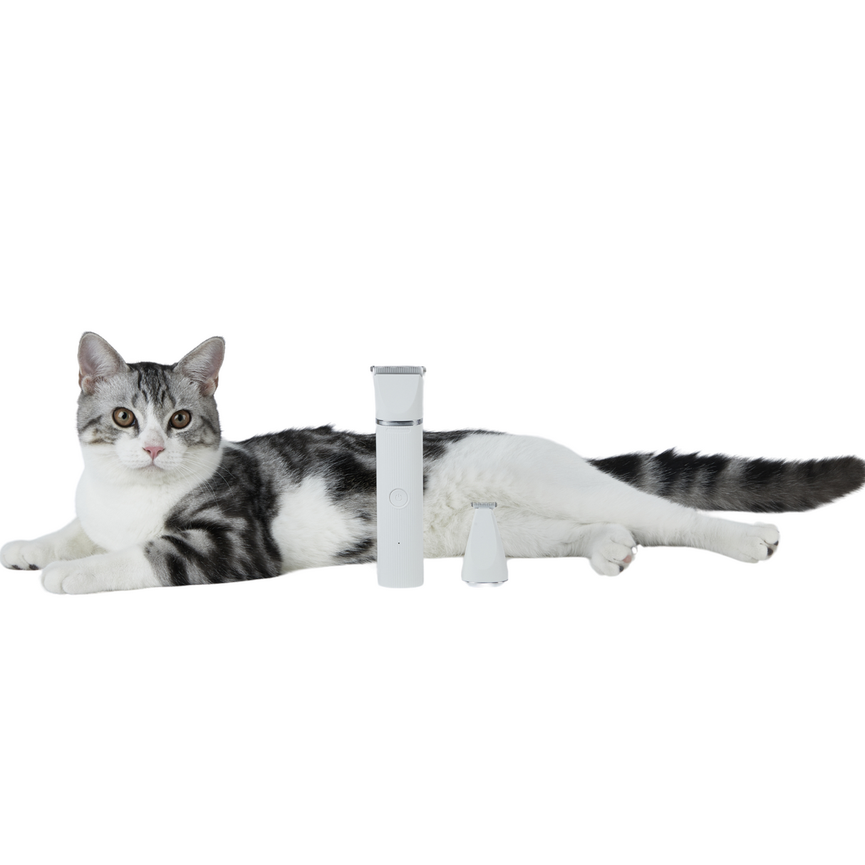 PETKIT 2 in 1 Trimmer Pro Schermaschine leise IPX7 Akku Katzen Hunde