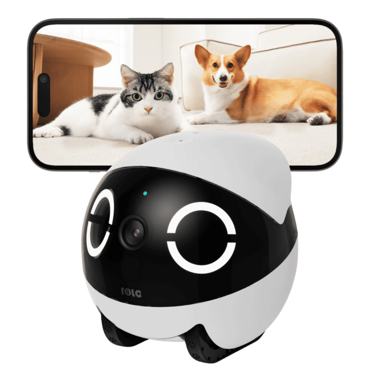 ENABOT ROLA Mini Katzenspielzeug Laser interaktiver Katzenroboter