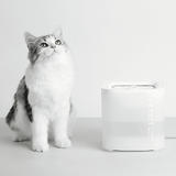 PETKIT Eversweet Solo SE Katzenbrunnen leise, Trinkbrunnen weiß