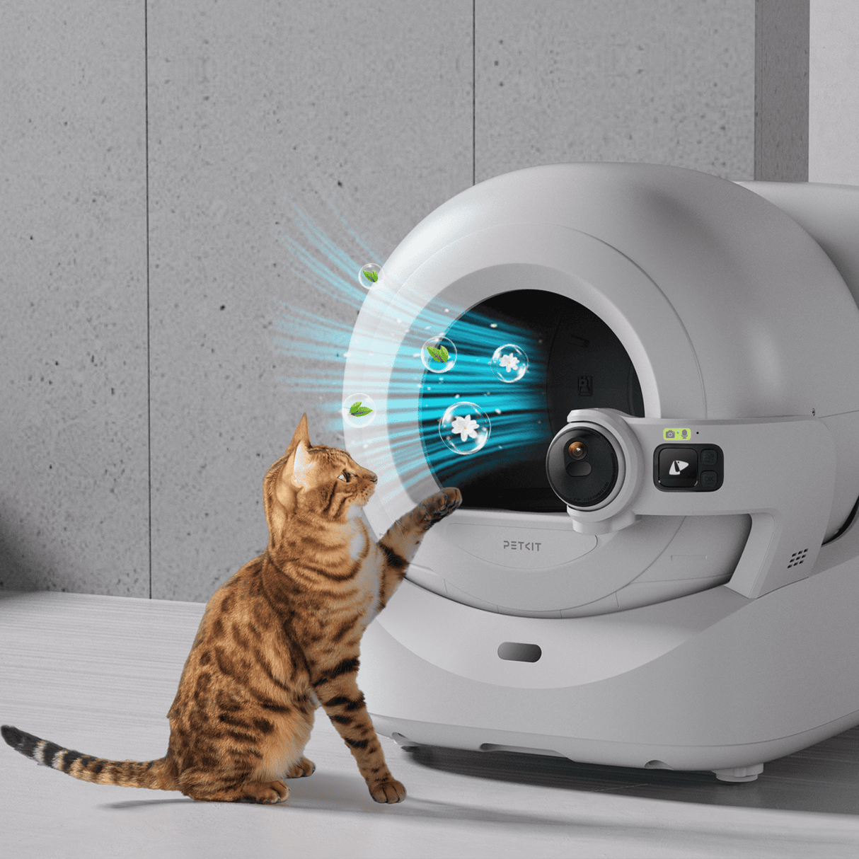 PETKIT Purobot Ultra Lufterfrischer N60 3 Stück Nachfüller Katzenklo