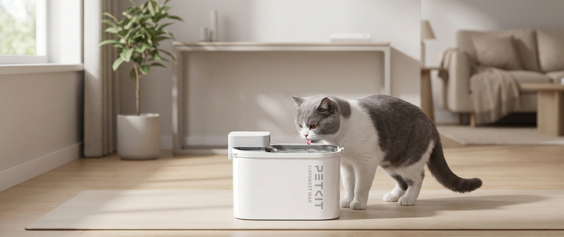 Reinigungsset für PETKIT Katzenbrunnen und Trinkbrunnen Zubehör