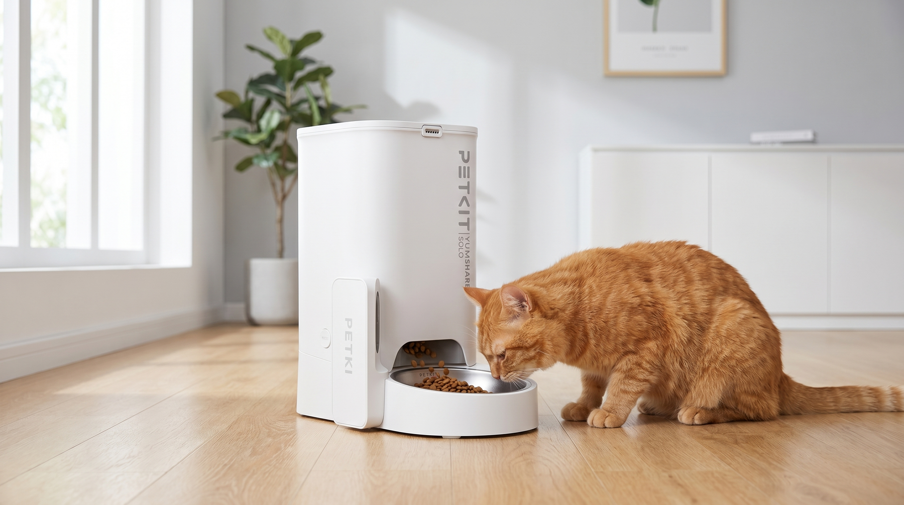 PETKIT Futternapf und Futterautomat für Katzen im modernen Zuhause